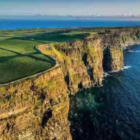 Rose In - Near Cliffs Of Moher *